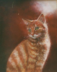 gallery/schilderij cat red