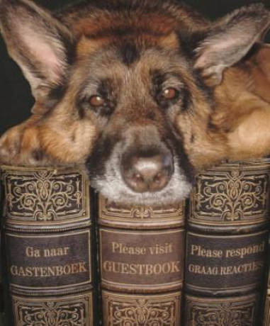 Ga naar gastenboek