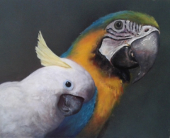 gallery/philo & gizmo