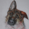 gallery/01 tekening yola