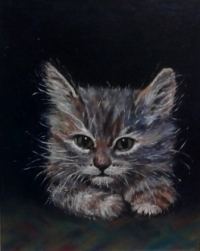 gallery/schilderij grijs katje1