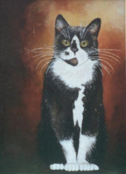 gallery/schilderij cat karel